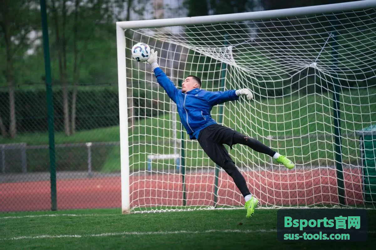 Bsports官网运动训练工具的恢复状态评估视图